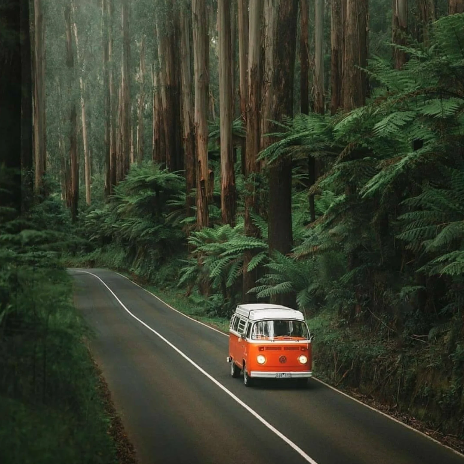 Great Otway National Park