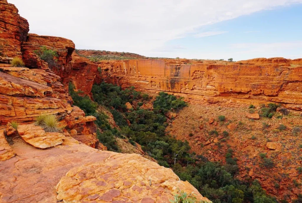 Kings Canyon Rim Walk