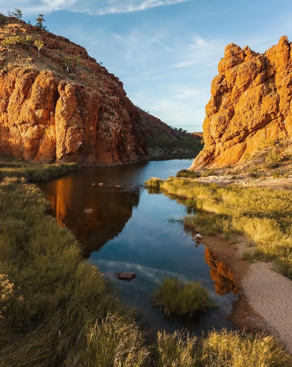 Larapinta Trail