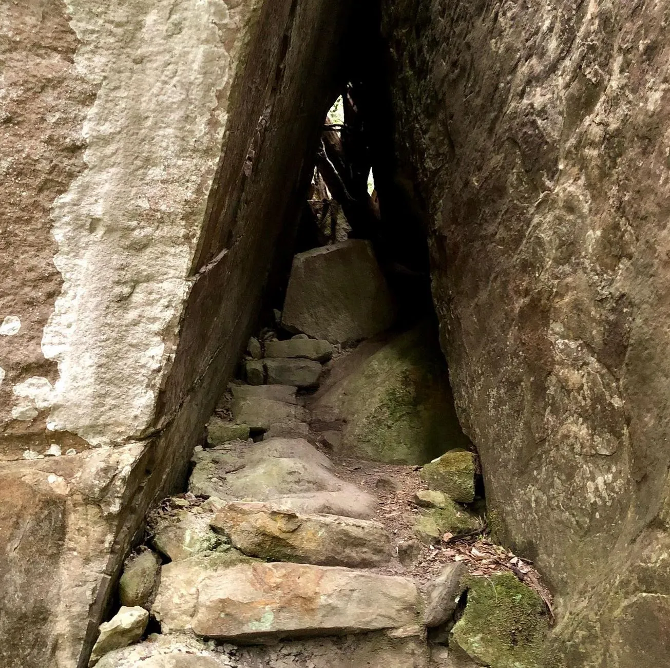 The Route And Walking Time