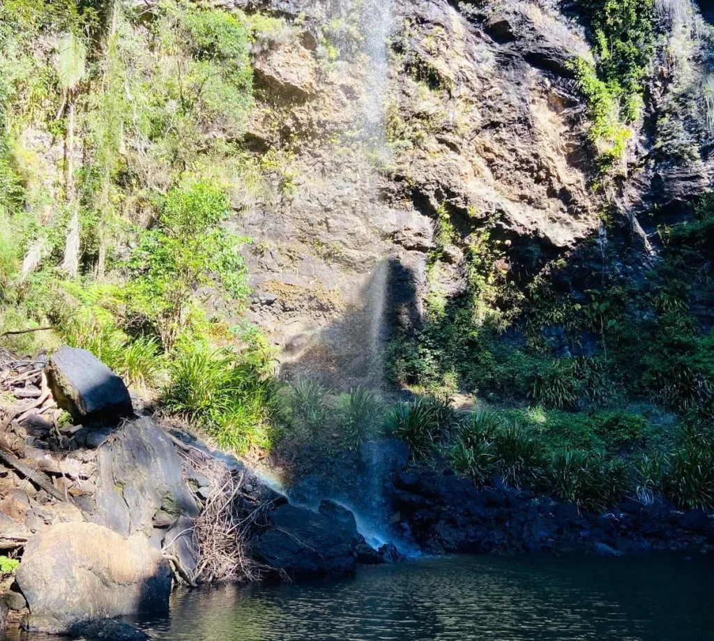 Twin Falls